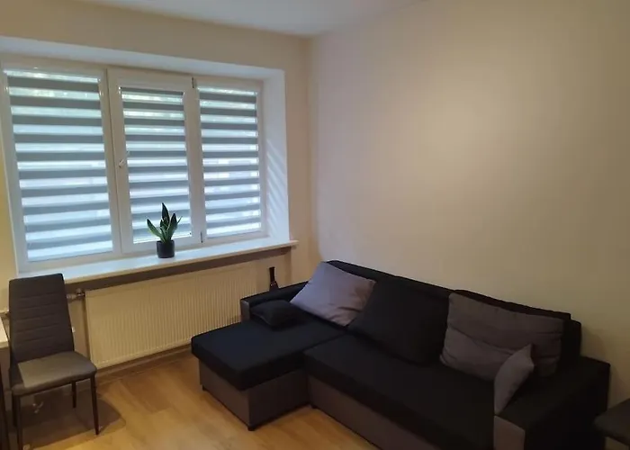 Appartamento Rami Vieta Visiems Atvejams Studija Vilnius