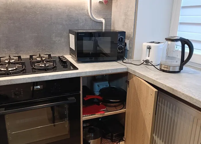 Appartement Rami Vieta Visiems Atvejams Studija *